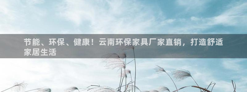 杏耀总代理