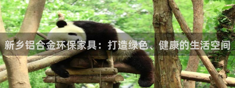 杏耀平台登陆官网