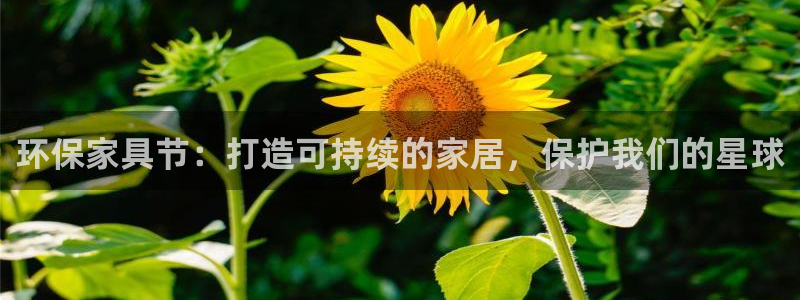 杏耀平台官方登陆