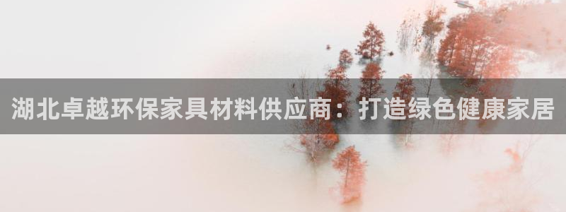 杏耀平台的专用通道