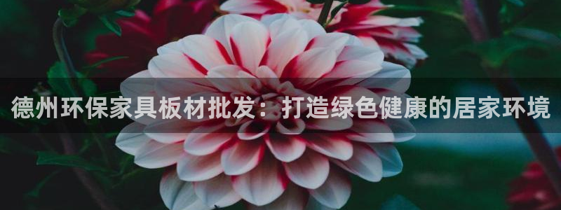 杏耀平台注册代理