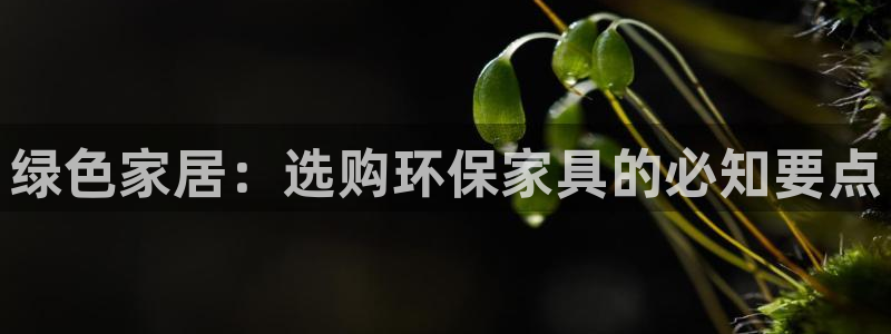 杏耀平台网站是什么：绿色家居：选购环保家具的必知要点