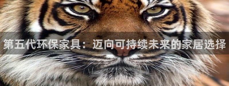 杏耀平台官方网站