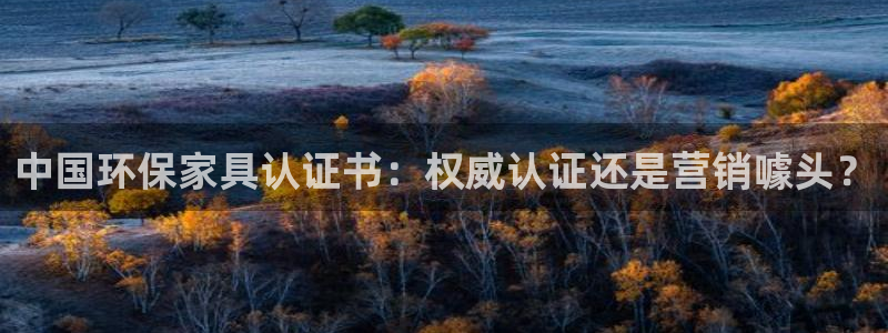 杏耀平台线路测试：中国环保家具认证书：权威认证还是营销噱头？