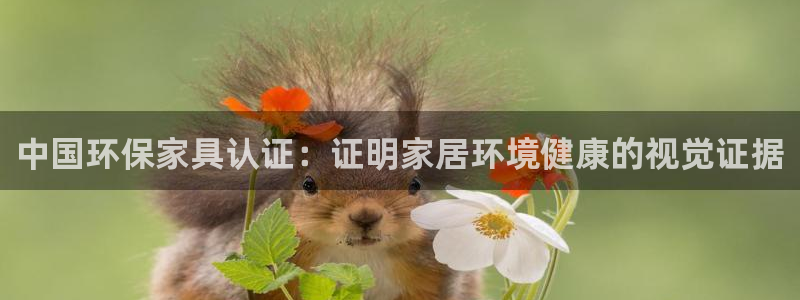 杏耀登陆测速