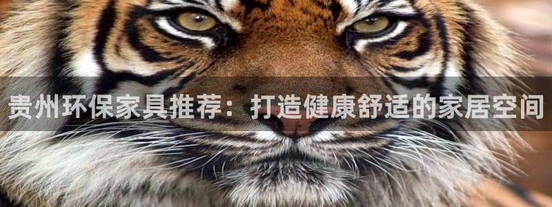 杏耀注册登录测速：贵州环保家具推荐：打造健康舒适的家居空间
