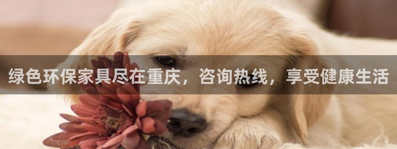 杏耀平台官方网站