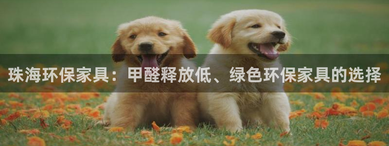 杏耀测速注册