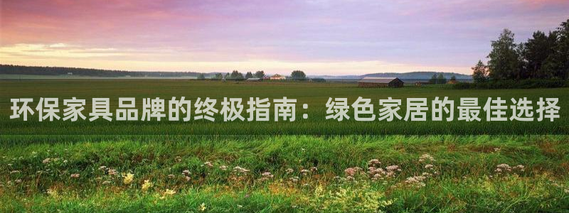 杏耀平台注册代理：环保家具品牌的终极指南：绿色家居的最佳选择