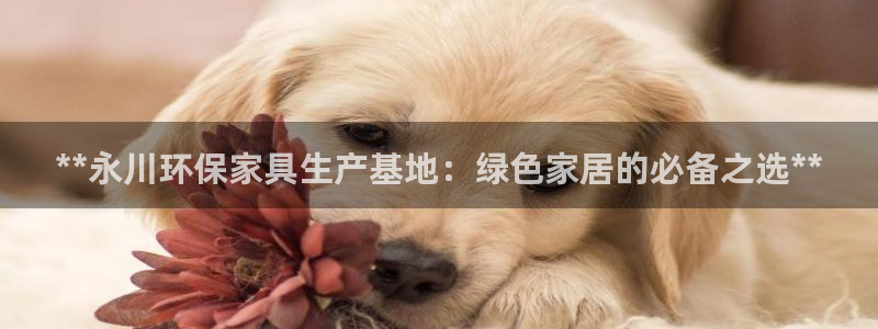 杏耀手机客户端：**永川环保家具生产基地：绿色家居的必备之选