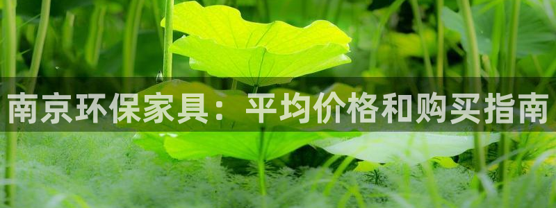 杏耀线路测速登录中心：南京环保家具：平均价格和购买指南