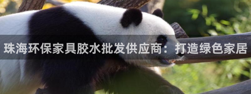 杏耀官网主管