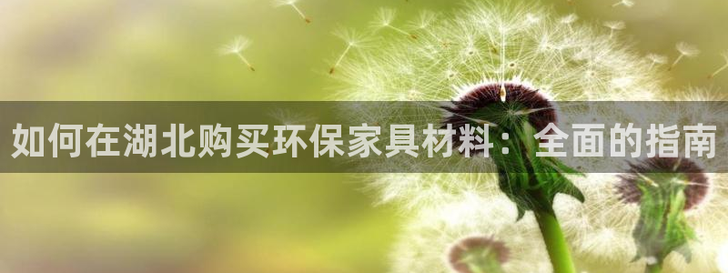 杏耀软件：如何在湖北购买环保家具材料：全面的指南