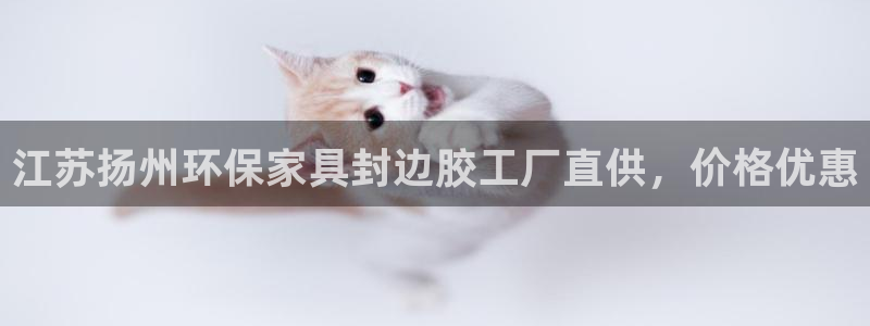 杏耀官方注册中心：江苏扬州环保家具封边胶工厂直供，价格优惠