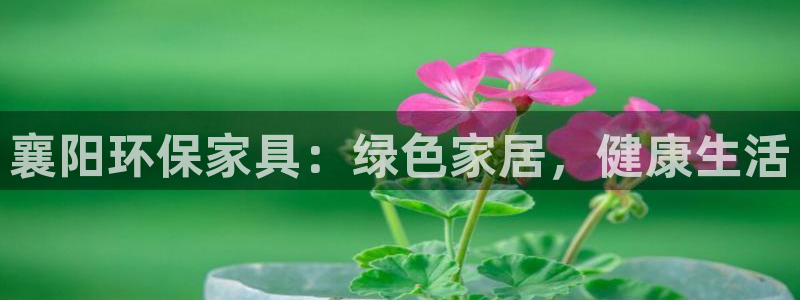 杏耀平台网页版