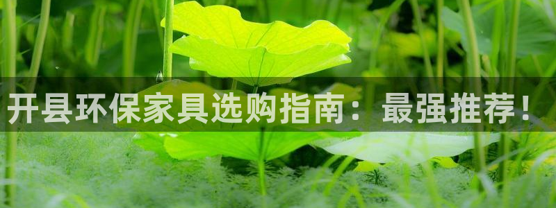 杏耀客户端登陆：开县环保家具选购指南：最强推荐！