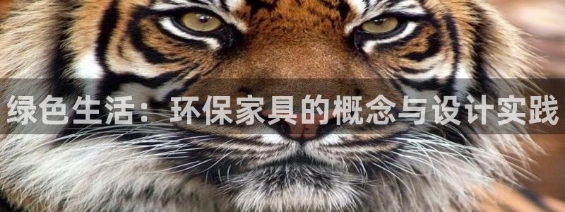 杏耀官网登陆：绿色生活：环保家具的概念与设计实践