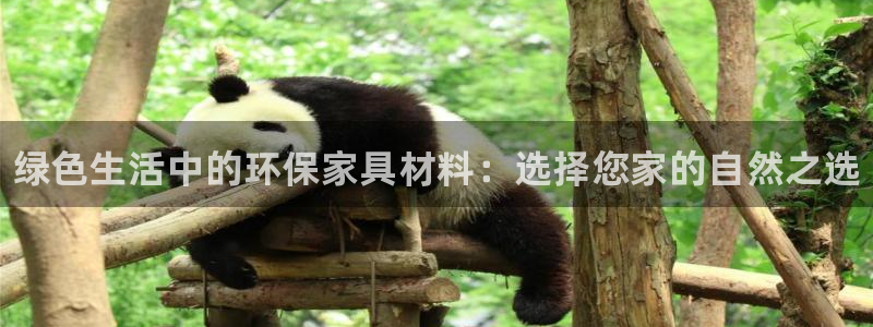 杏耀客户端登录：绿色生活中的环保家具材料：选择您家的自然之选